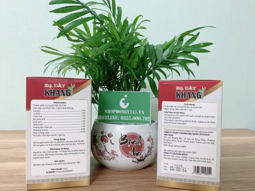 Dạ Dày Khang 👍 [CHÍNH HÃNG] ❤️ Lựa Chọn Cho Người Trào Ngược, Viêm Loét Dạ Dày, Khuẩn HP