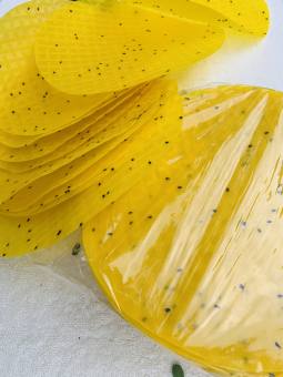 Bánh Tráng Nướng Vàng Bánh Tráng Tây Ninh