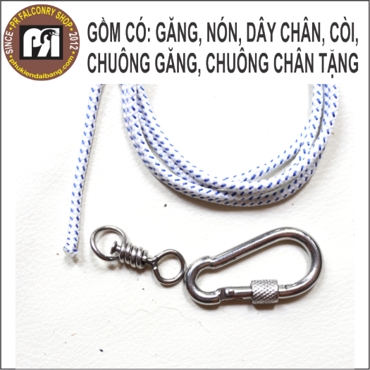 Phụ kiện chim ưng săn mồi diều hâu
