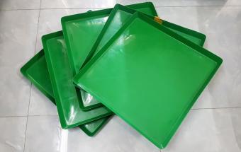 Khay đựng nước trồng lan và nuôi thú cưng. (5 khay) (50x50cm)