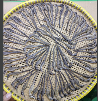 1 Cá ngựa khô (hải mã) 7-8cm