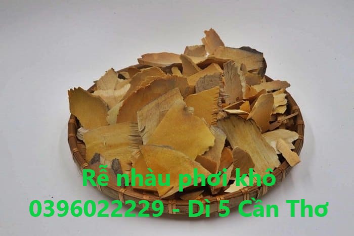 rễ nhàu phơi khô 1 ký - hàng khô sạch bụi bậm