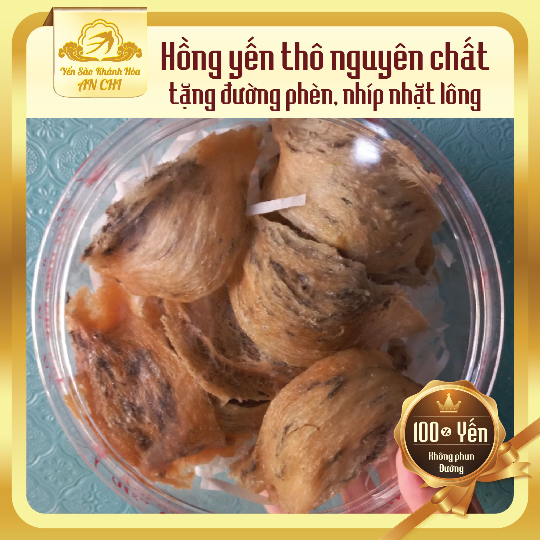 Huyết yến tổ thô, yến sào Khánh Hòa, Yến nguyên chất chưa nhặt lông, tặng kèm đường phèn táo đỏ, nhíp nhặt lông, tặng thố chưng kèm khi mua từ 100g yến