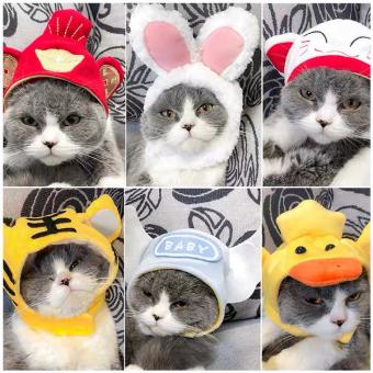 Nón mũ cho thú cưng đội đầu dễ thương cao cấp