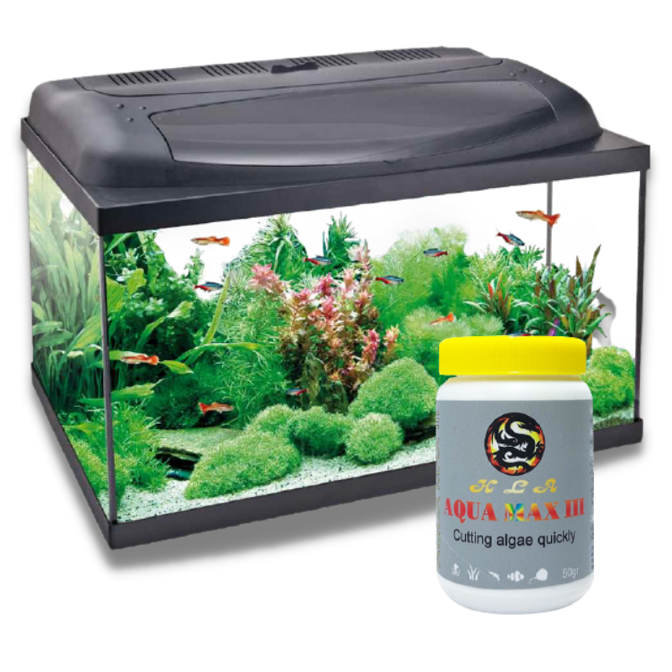 Men Diệt Tảo Hồ Cá AQUA MAX 3