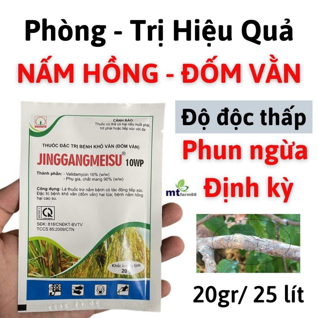 Phòng Trừ Nấm Hồng JINGGANGMEISU 10WP NICOTEX – 20gr - Phòng Trừ Bệnh Khô Vằn Và Bệnh Nấm Hồng Cho Cây Cao Su - Hoa Mai