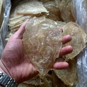 CÁ BÓNG TRẦU 0.5kg