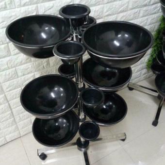 Cây bát nước Spa