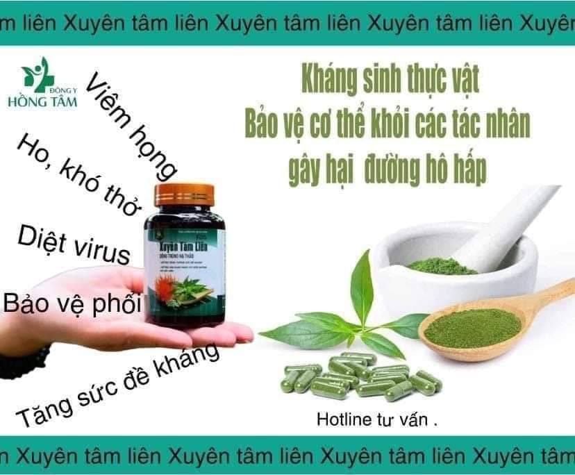 Xuyên Tâm Liên đông trùng hạ thảo 60 viên