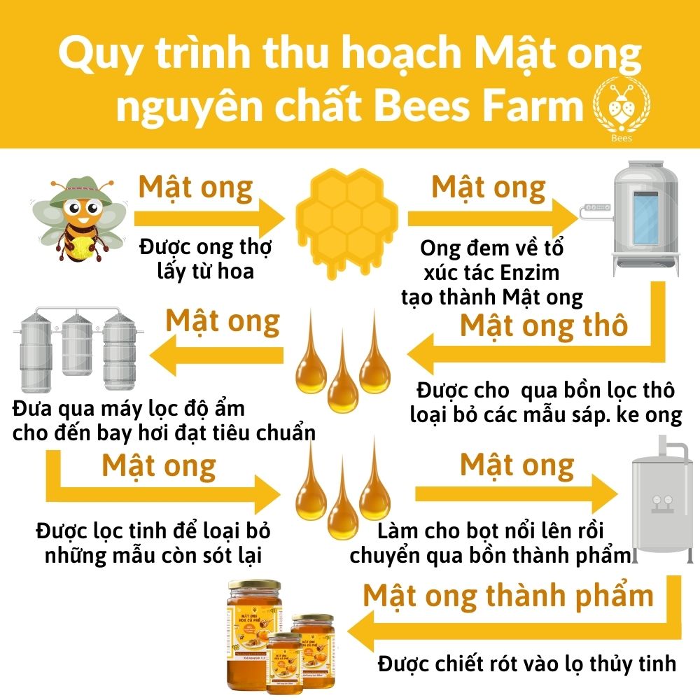 mật ong hoa cà phê nguyên chất bees farm 300ml 3