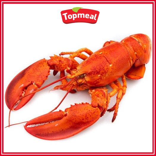 HCM - Tôm hùm Canada (300 - 400 g) - [Giao nhanh TPHCM]