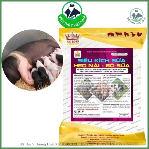 Siêu Kích Sữa Heo Nái, Ngăn Ngừa Mất Sữa, Tăng Chất Lượng Sữa, Chống Bại Liệt Sau Khi Sinh Hàng Chuẩn Công Ty VIỆN THÚ Y VIỆT NAM