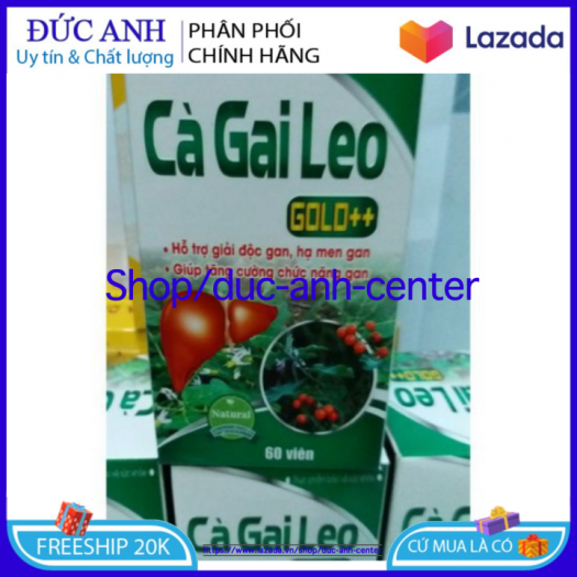 HSD 2023 - Cà Gai Leo Plus lọ 60 viên - Giải độc gan, hạ men gan - Hộp 60 viên chuẩn GMP Bộ Y tế