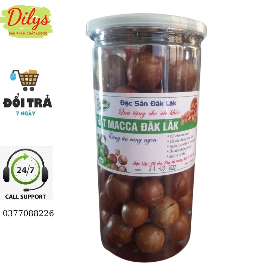 [freeship max + kèm tách vỏ]1 hộp/ 500 gam Hạt macca sấy tách vỏ Đắc Lắc Tây Nguyên Dilys 226 DL07 hạt dinh dưỡng tốt cho thai nhi, mẹ bỉm, trẻ nhỏ, người cao tuổi.