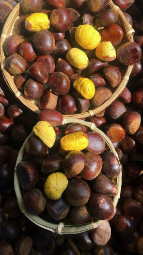 Hạt dẻ tươi Cao Bằng size 2.8mm