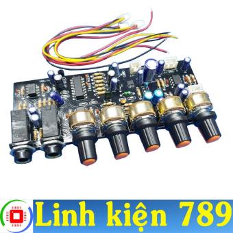 Mạch micro karaoke 12v đơn V2.1 - Linh kiện 789