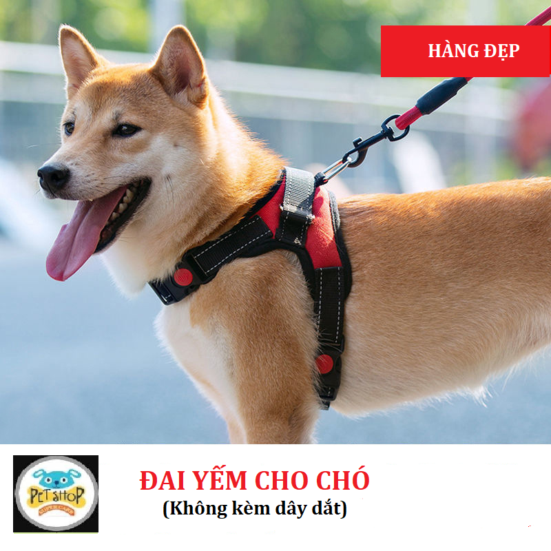 [Hoàn tiền 10%] [CÓ HỎA TỐC] Đai Yếm Cho Chó Hàng Đẹp (Không kèm dây dắt)