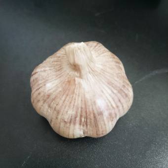 Tỏi quê chính hiệu, tỏi nhà trồng (1 CỦ)