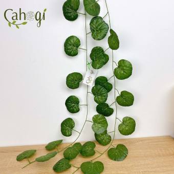 Combo 5 Sợi Dây Leo Giả Lá To Rau Má Lá Đậm Gân Sắc Nét 2m Lá Nhân Tạo