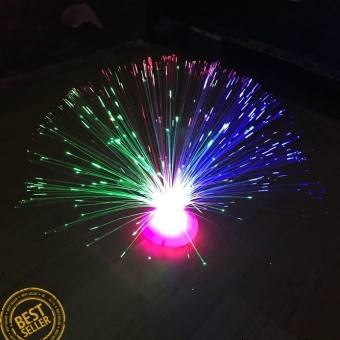 Đèn led bình hoa phát sáng sợi quang HW28