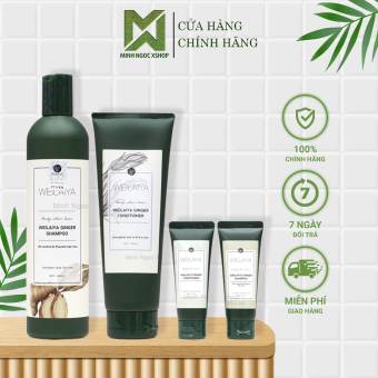Combo dầu gội, dầu xả gừng trắng Weilaiya dầu gội xả chống rụng kích mọc tóc Weilaiya 400 + 250ml tặng set mini 20ml