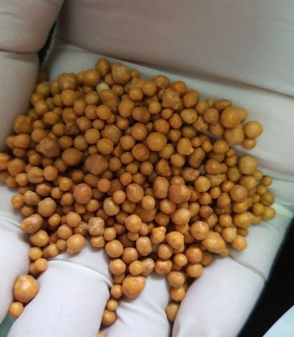 100g Phân vàng tan chậm vàng Osmocote nhập khẩu Thái Lan 14-14-14
