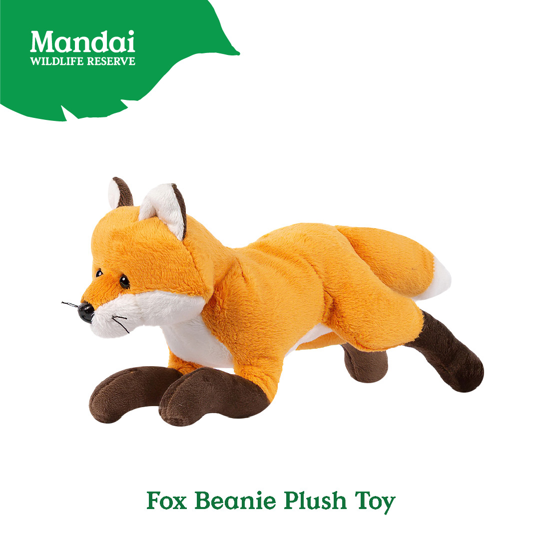 soft plush fox