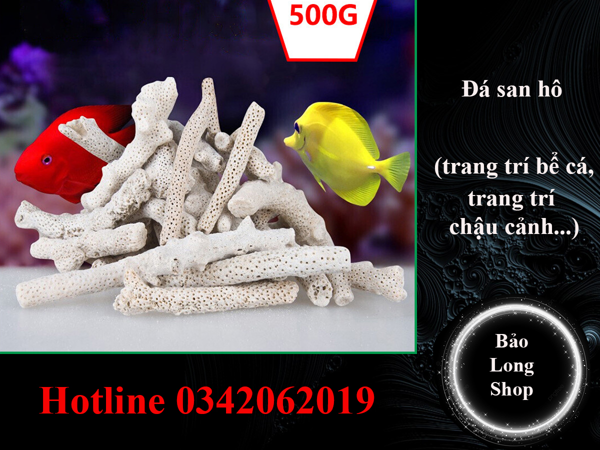 1 kg Đá san hô trang trí bể cá thủy sinh, bể cá cảnh, hồ cá