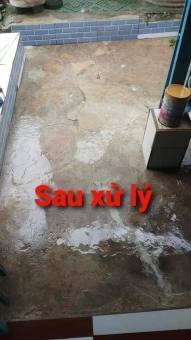 BỘT DIỆT SẠCH RONG RÊU