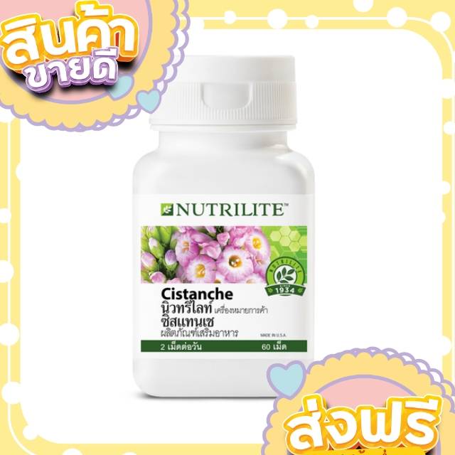 นิวทริไลท์ ซิสแทนเช - บรรจุขวดละ 60 เม็ด มีส่วนผสมของสารสกัดจากรากซิสแทนเช แอมเวย์ฉลากไทย Amway พร้อมส่ง ส่งฟรี ราคา 1,730 บาท*ส่งฟรี