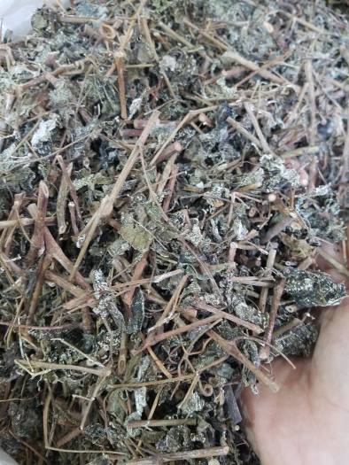 Chè dây cao bằng hỗ trợ làm lành niêm mạc dạ dày