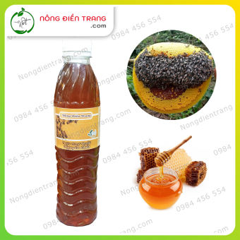 Mật Ong Ruồi Thiên Nhiên Nguyên Chất 100% - Chai 400ml - Được Trích Từ Tổ Ong Ruồi Rừng Nguyên Sáp, Không Pha Lẫn Tạp Chất VTNN Nông Điền Trang