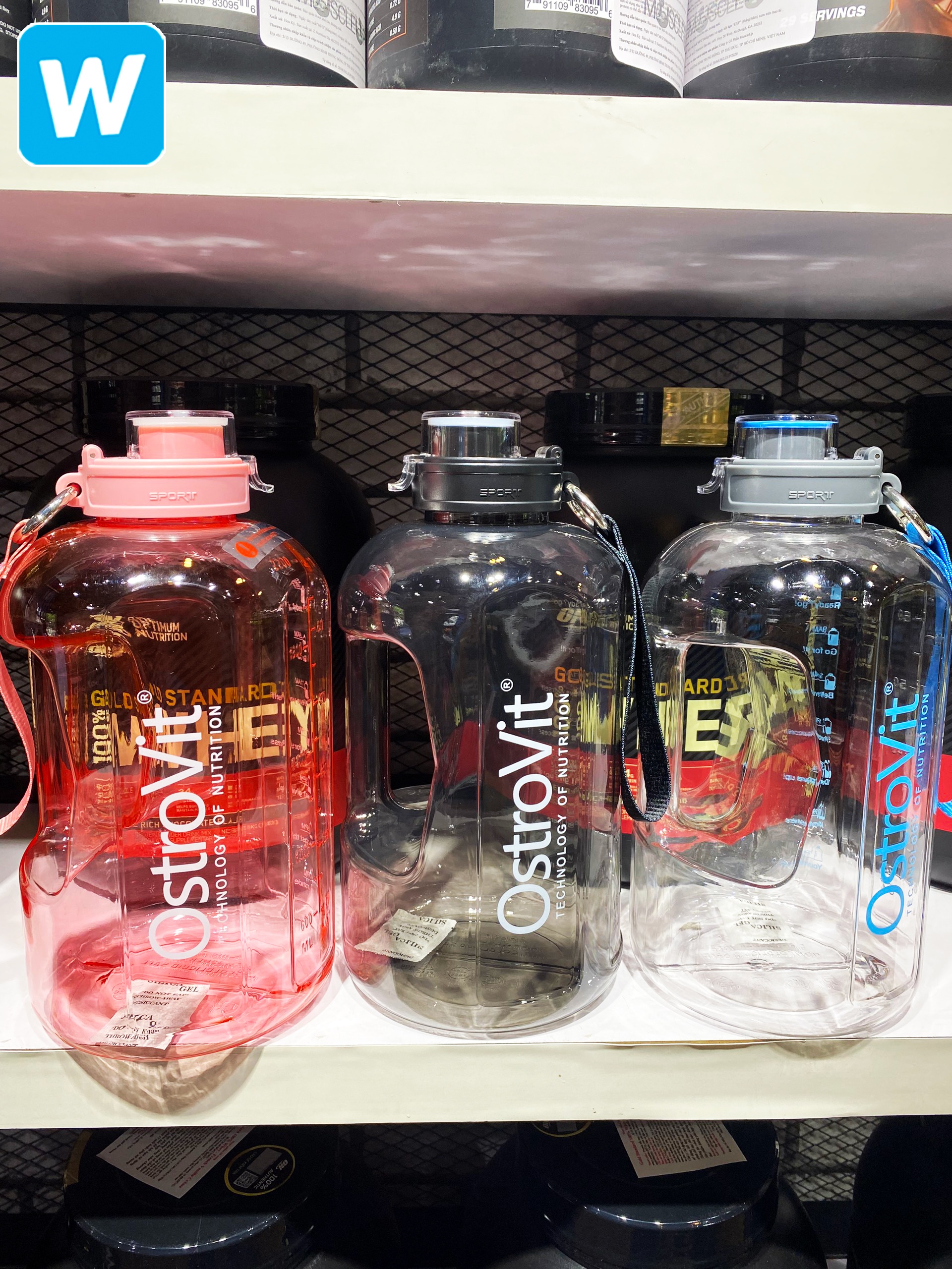 Phụ kiện gym - shaker ostrovit bình lắc chuyên dụng 2200ml
