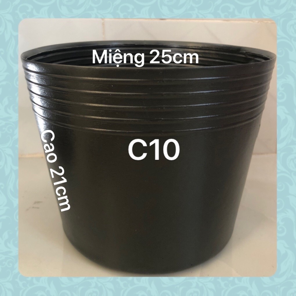 Chậu nhựa trồng cây 100 cái C10 đen mềm loại dày dặn