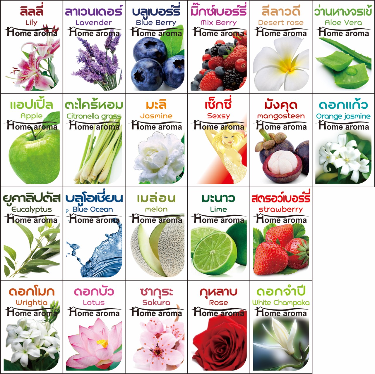 [Home Aroma] ก้านไม้หอม ปรับอากาศ รุ่นใหม่ 15มล. น้ำหอมอโรม่า เลือกกลิ่นได้จาก มี100กลิ่น น้ำมันหอมระเหย