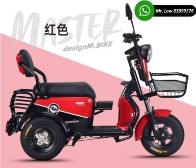 Mobility Scooter PMA (1)