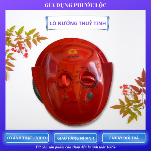 LÒ NƯỚNG ĐỐI LƯU SKYPE