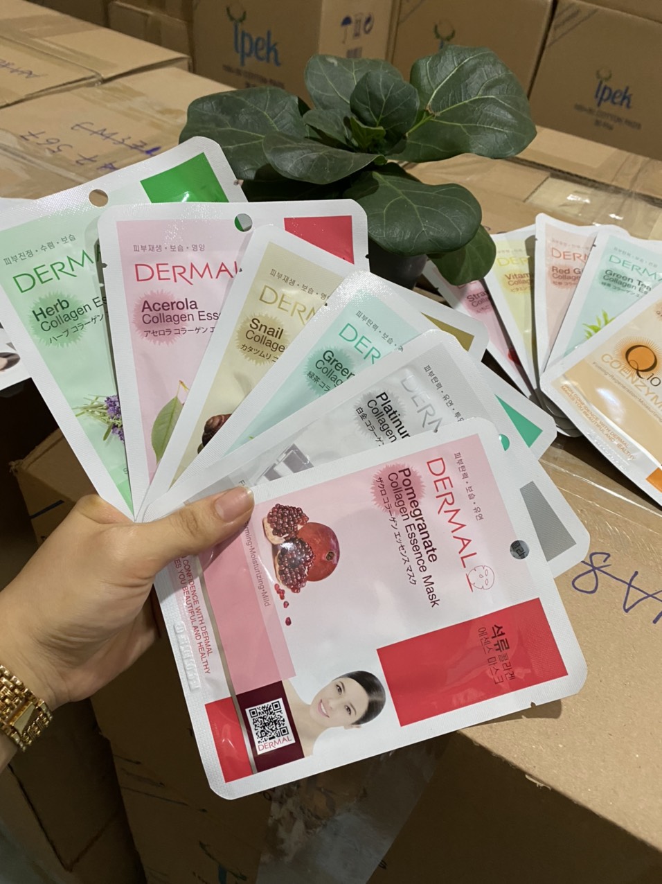 Combo10 Mặt nạ Dermal Hàn quốc dưỡng da tinh chất 23g