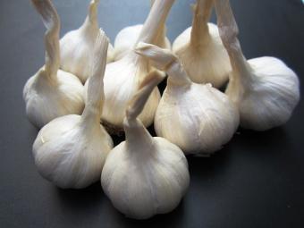 Tỏi phan rang cao cấp ( 500gram)