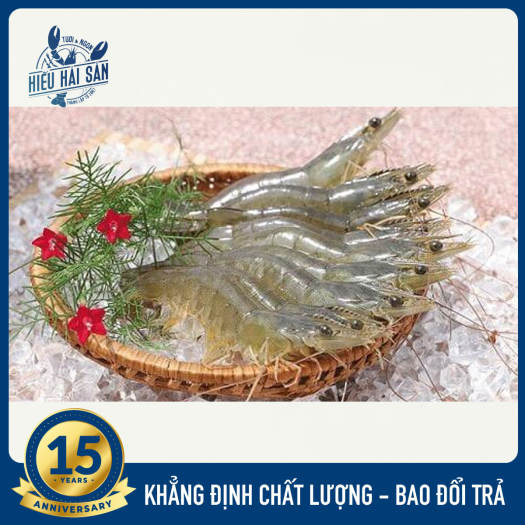 tôm thẻ tươi sống. Size 30-40 con/kg