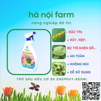 Chai xịt pha sẵn trị rầy rệp, nhện, bọ trĩ, bọ xít trên hoa hồng, cây cảnh_Dung dịch hữu cơ dầu khoáng SK ENSPRAY99EC