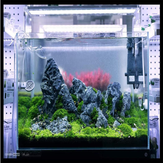 Đá Kẹp Kem ( 1KG )cao cấp, set hồ cá thủy sinh, bể cá, thác cát, làm tiểu cảnh đem lại may mắn gia chủ