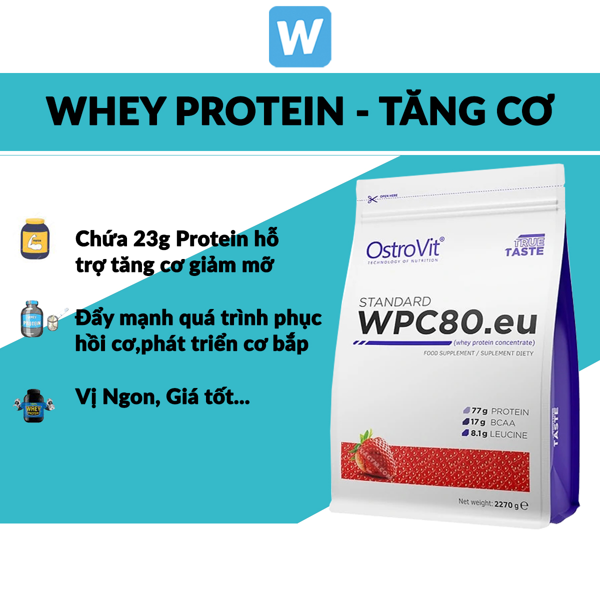 Thực phẩm bổ sung tăng cơ ostrovit wpc80.eu whey protein concentrate 2.27kg