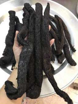 NHỤC THUNG DUNG -1kg