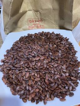 Hạt Dưa Đặc Biệt  Hùng Ký