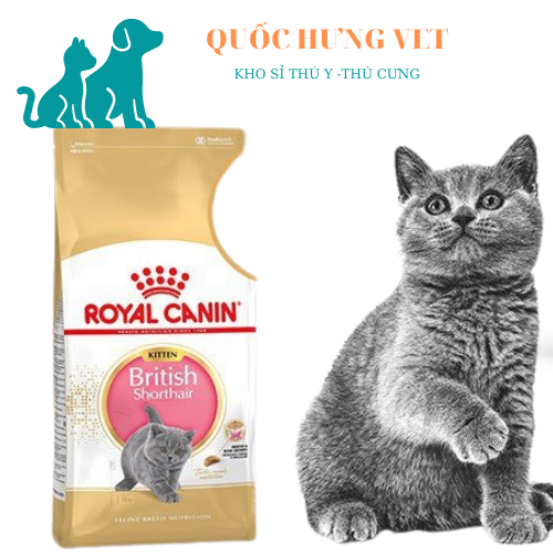 Hạt Cho Mèo Con Anh Lông Ngắn Royal Canin British Shorthair Kitten.....2KG...QUOCHUNGVET