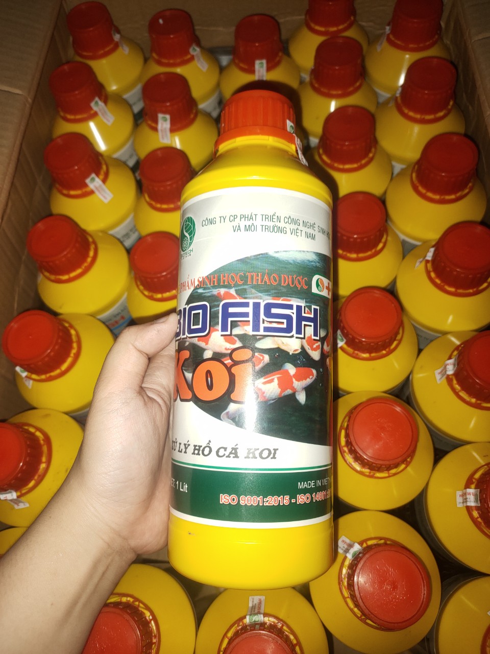 Vi sinh bio fish chế phẩm chuyên dùng cho hồ koi