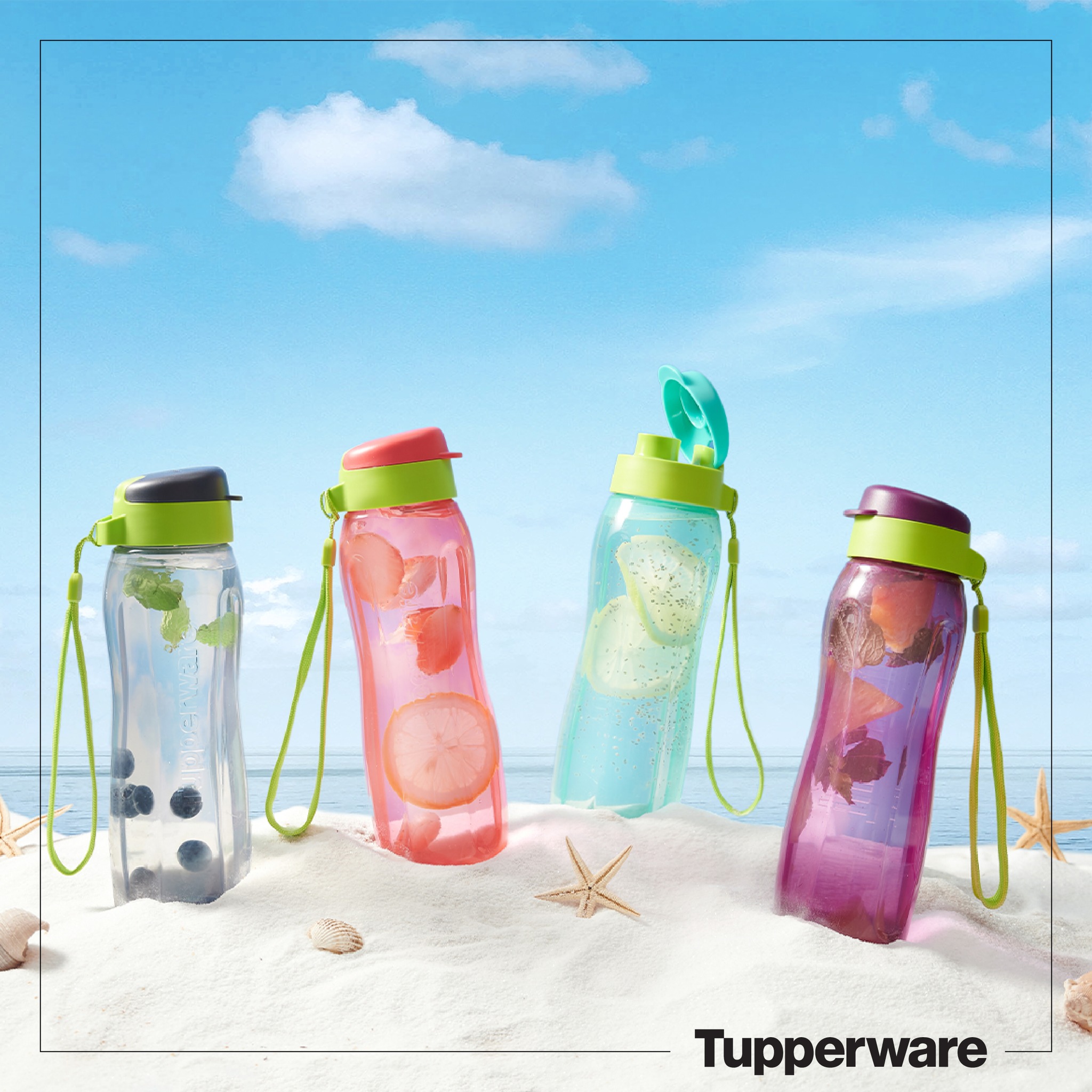 Bình nước eco bottle gen ii 750ml