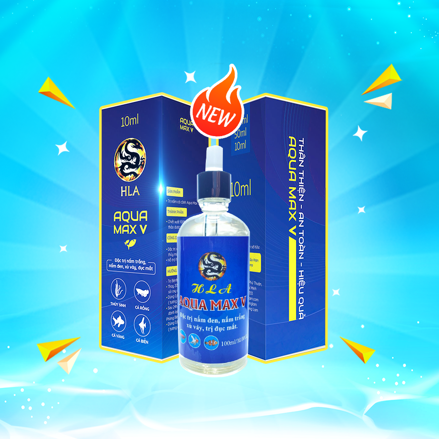 Aqua Max V [Aqua Max 5] Thu.ốc Tr.ị Bệ.nh Cá Cảnh Nấm Trắng, Nấm Đen, Nấm Màng, Xù Vảy, Xuất Huyết Vảy Hồ cá| Cá Rồng Hoàng Lam