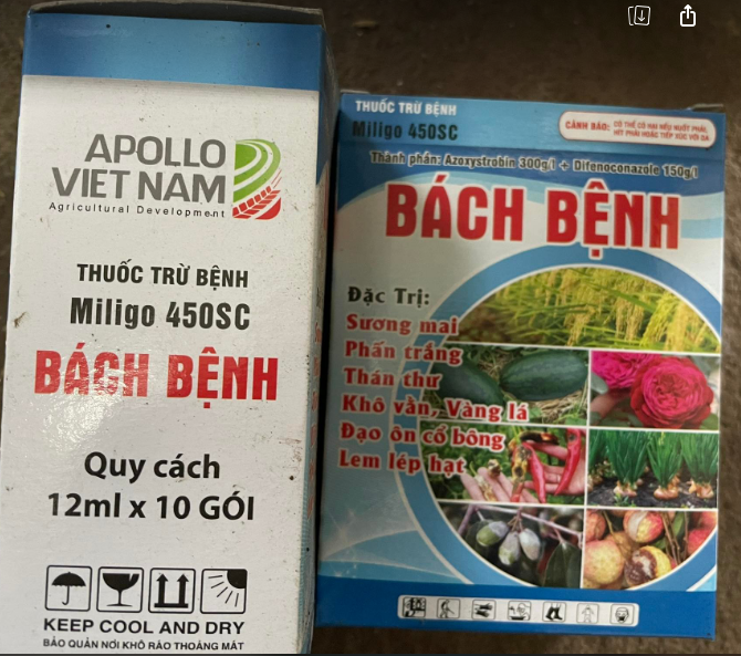 10 gói thuốc trừ bệnh miligo 450sc bách bệnh - sương mai, phấn trắng, thán thư hộp 10 gói 12ml